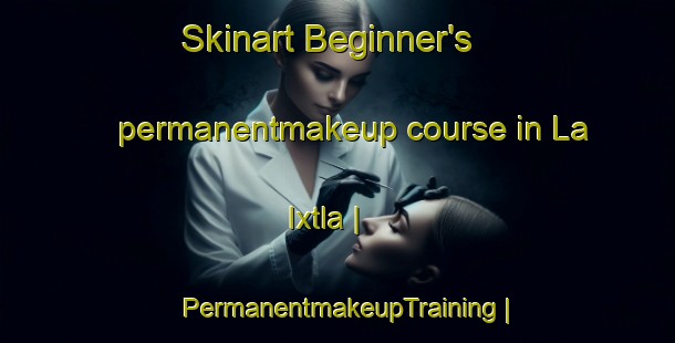 Skinart Beginner's permanentmakeup course in La Ixtla | PermanentmakeupTraining | PermanentmakeupClasses | SkinartTraining-Mexico